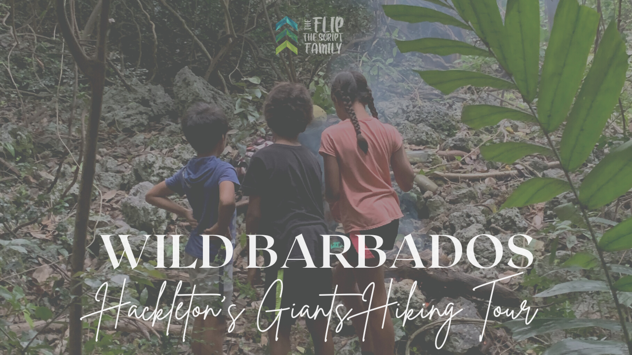 Hiking in Barbados | Hackleton’s Giants with Wild Barbados